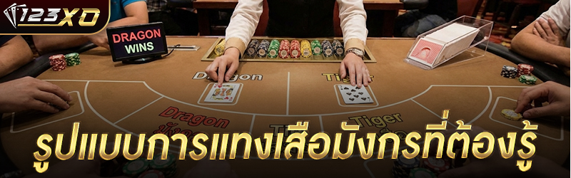 รูปแบบการแทงเสือมังกรที่ต้องรู้