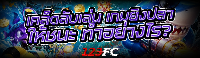 วิธีเล่น ไฮโลออนไลน์ เริ่มต้นอย่างไร?